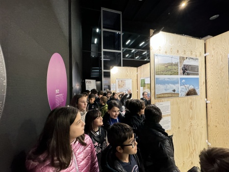 DAL 8 NOVEMBRE AL 2 DICEMBRE 2024 |  MATERA L'ARTE CHE UNISCE | 8&deg; RASSEGNA INTERNAZIONALE DI ARTE VISUALE | 