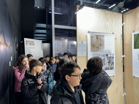 DAL 8 NOVEMBRE AL 2 DICEMBRE 2024 |  MATERA L'ARTE CHE UNISCE | 8&deg; RASSEGNA INTERNAZIONALE DI ARTE VISUALE | 