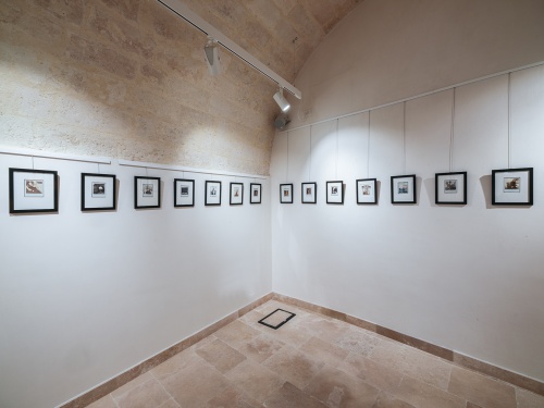 POLAROID | SIGNUM | UN RAPIMENTO MISTICO E SENSUALE - MATERA L'ARTE CHE UNISCE 2.0