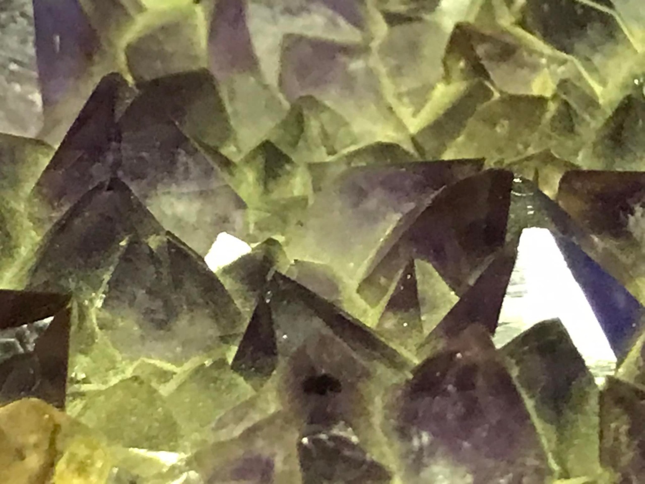 285175691_3188824488073611_219670637252961407_n.jpg