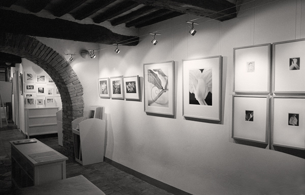 Gallery during the exhibition "Fleurs"
