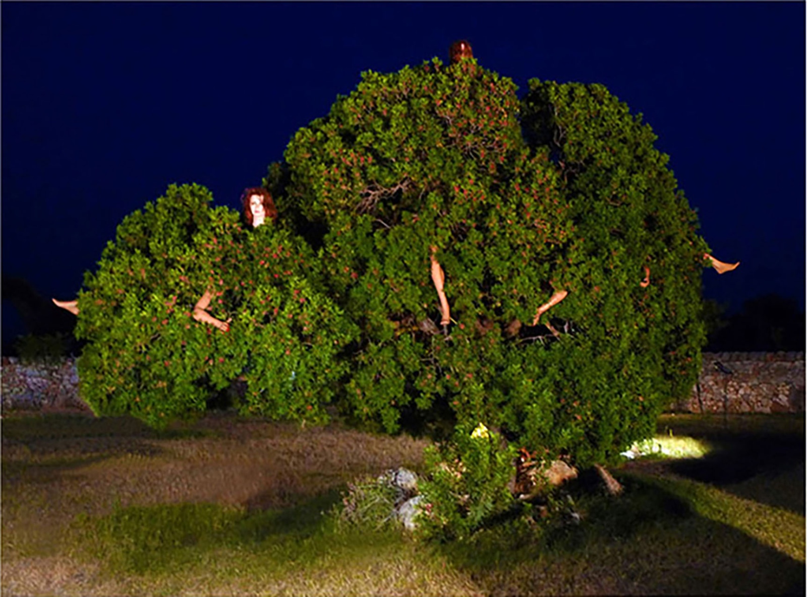 ALBERO ABITATO . 2010 - Installazione con albero e manichini
Masseria Boezio (Ostuni), estate 2010